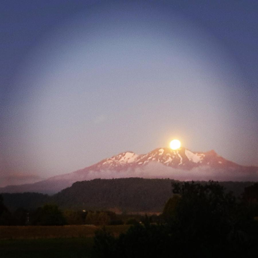Beech Tree Lodge Ohakune Exteriér fotografie