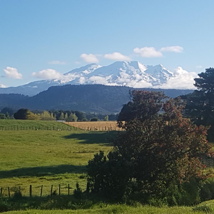 Beech Tree Lodge Ohakune Exteriér fotografie