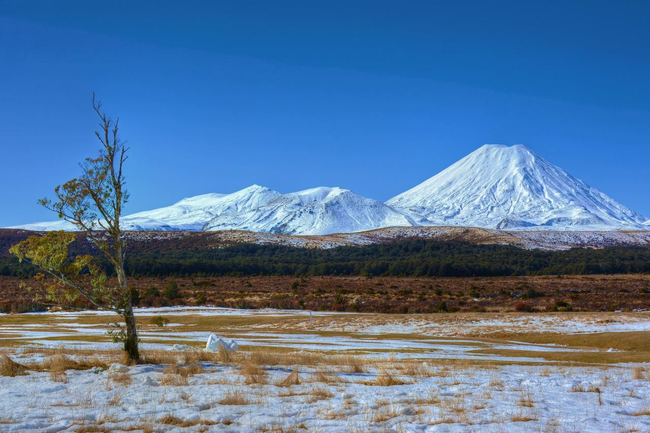 Beech Tree Lodge Ohakune Exteriér fotografie
